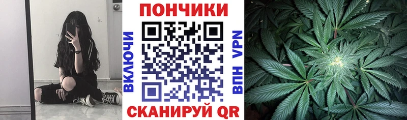 Бошки марихуана THC 21%  Октябрьск 